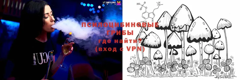 Псилоцибиновые грибы Magic Shrooms  Краснообск 